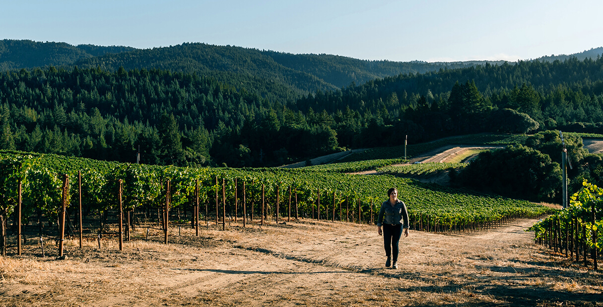 Sarah walking in vineyard