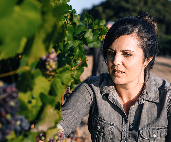 Sarah examining grape vines