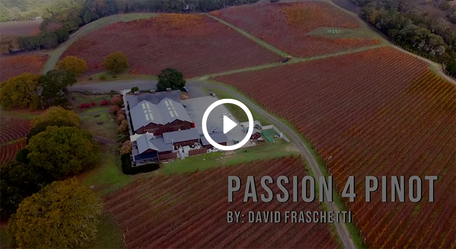 Passion 4 Pinot